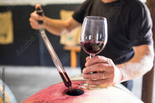 sommelier extracts wine from a barrel using a pipette
