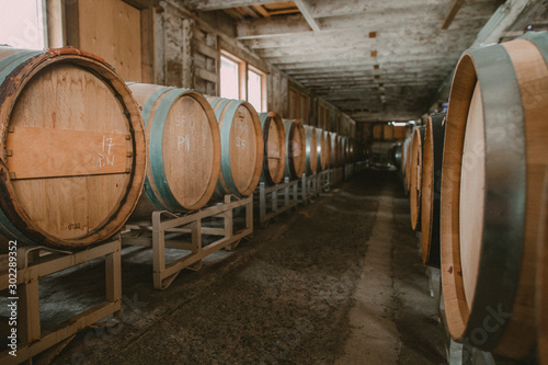 Two rows of wine barrels in an old barn turned wine cellar photo