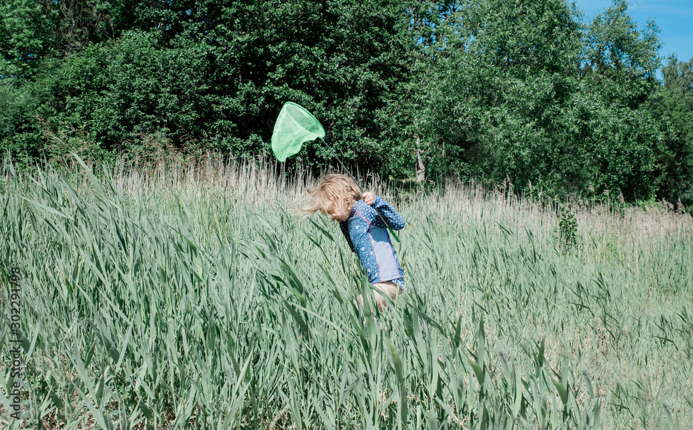 young girl walking through long grass with a fishing net in summer young girl walking through long grass with a fishing net in summer