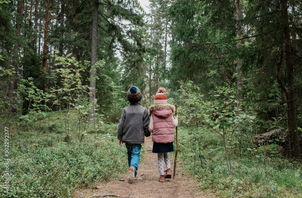 brother and sister holding hands walking through the woods in fall brother and sister holding hands walking through the woods in fall