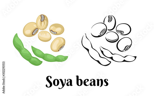 Soya beans isolated on white background. Vector color illustration of legumes in cartoon flat style and black and white outline. Icon.