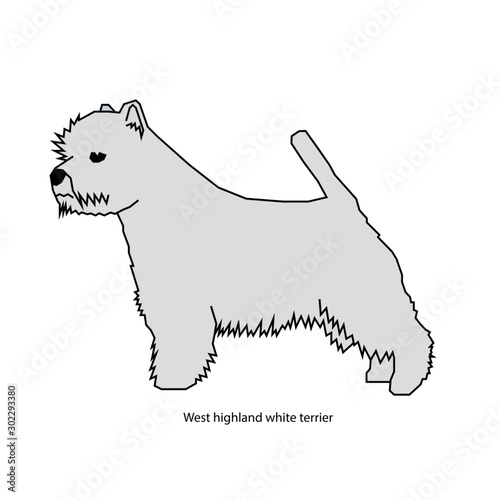 Dog white vector illustration isolated