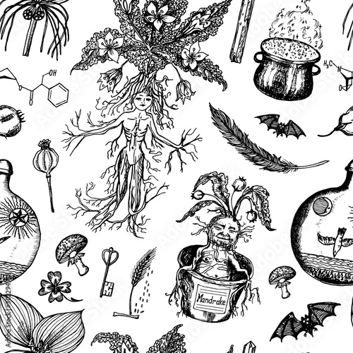 Mythical mandrake plant. Seamless pattern in vintage style. Fantasy magic flower and ingredients for witchcraft. Hand drawn engraved old retro sketch. Vector illustration.