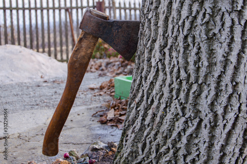 An ax sticks out from a stump of a freshly cut tree. Felling trees. Wildlife conservation.