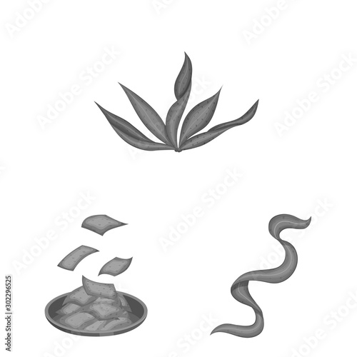 Isolated object of plant and weed symbol. Set of plant and sea vector icon for stock.