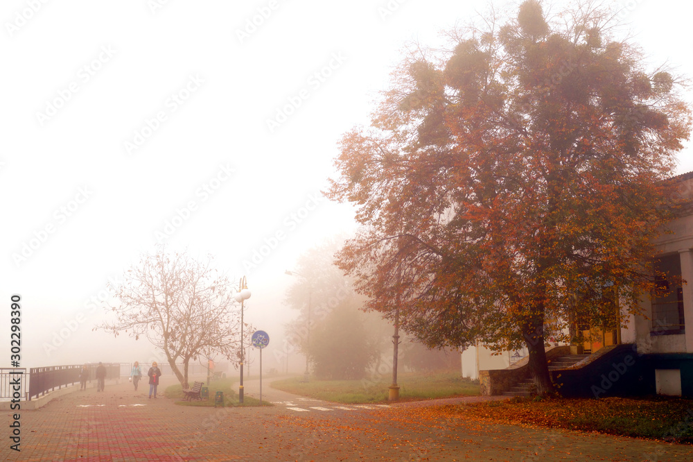 Autumn misty weather.