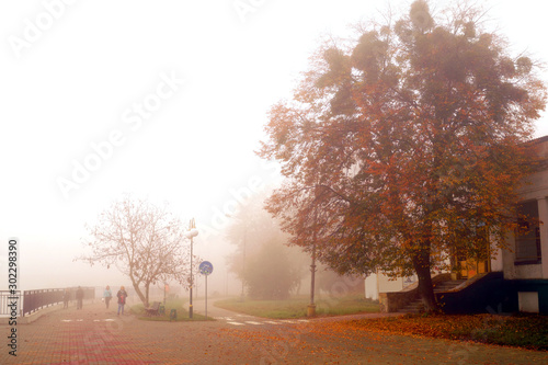 Obraz na płótnie Autumn misty weather. w salonie