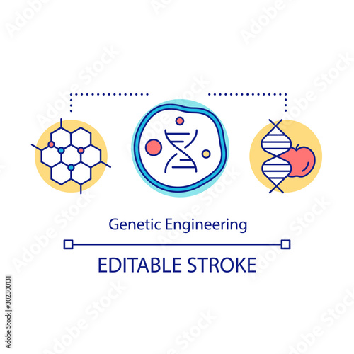 Genetic engineering concept icon. Genome modification. Recombinant dna technology. Transgenic organism. Bioengineering idea thin line illustration. Vector isolated outline drawing. Editable stroke