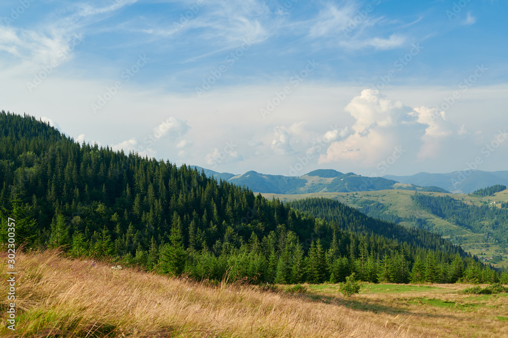 Landscape of bright summer day in Carpathian mountains, panorama of Carpathians, blue sky, trees and green hills, beautiful view