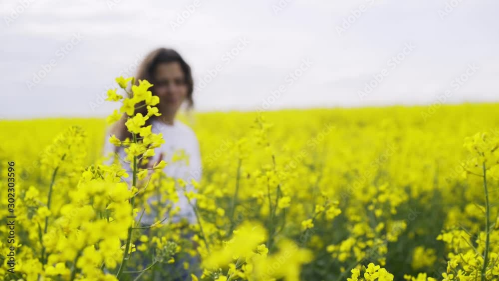 Young female goes through flowering rape field in sunny day. Side view dolly shot camera following charming girl in white shirt enjoying rural scene while walking among stems with yellow flowers. Young female goes through flowering rape field in sunny day. Side view dolly shot camera following charming girl in white shirt enjoying rural scene while walking among stems with yellow flowers.