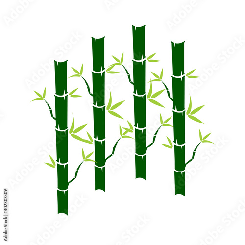 Fototapeta Naklejka Na Ścianę i Meble -  Green Bamboo stems sticks with green leaves icon