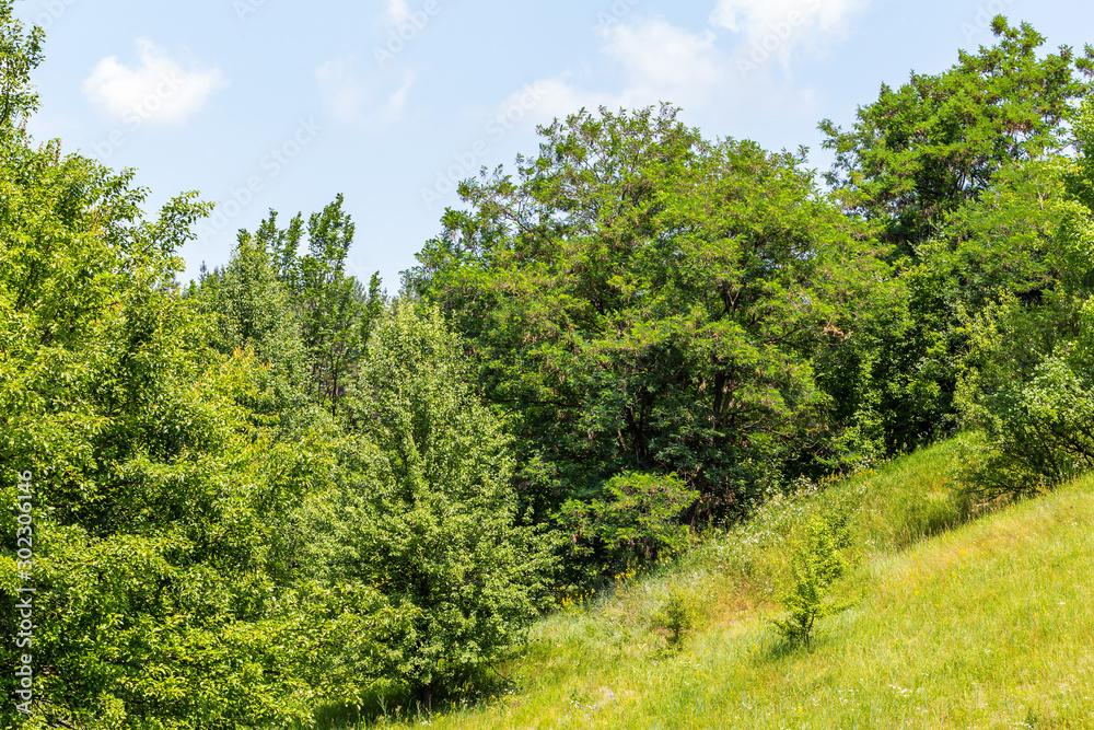 Hilly nature landscape Hilly nature landscape
