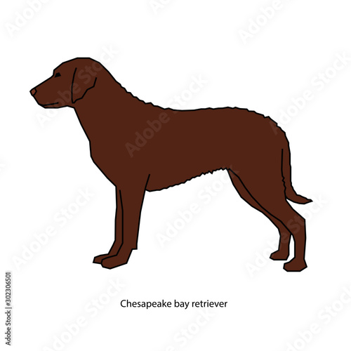 A dog vector illustration isolated