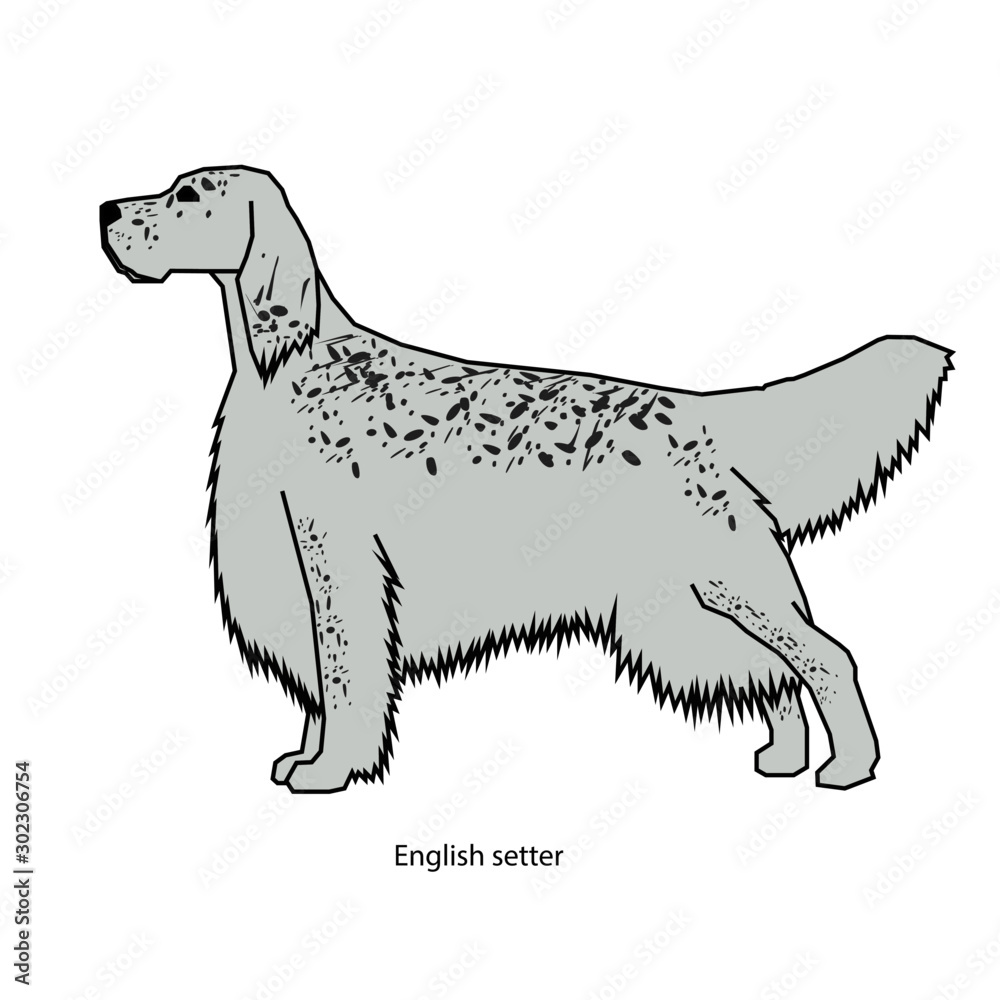 A dog vector illustration isolated