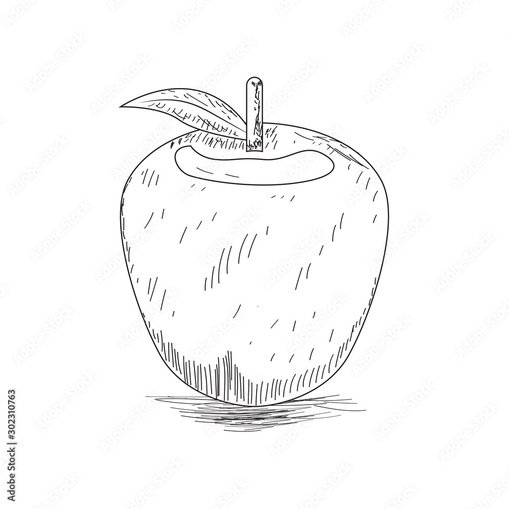 Apple fruit in continious line art drawing style. Minimalist black line  sketch on white background. Vector illustration Stock Vector | Adobe Stock