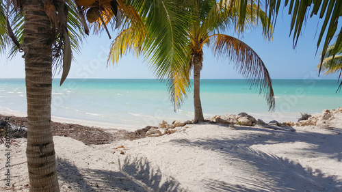 T  rkisblaues Meer vor Isla Holbox