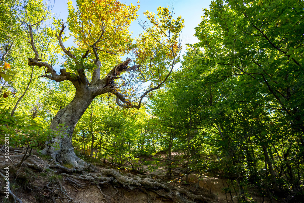 Crimea photo landscape and travel Crimea photo landscape and travel