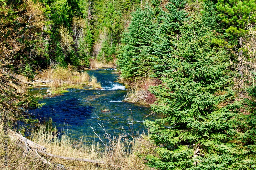 Obraz premium creek_spearfishcanyon