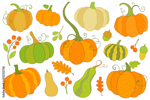 Fall pumpkin colorful clip art set, 9 pumpkins, 2 gourds, 3 berry sprigs, 3 leafs and 2 acorns. Autumn motifs ready for your designs.