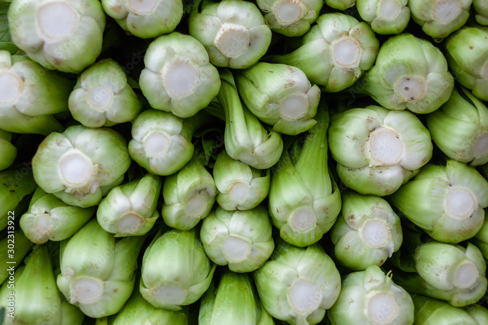 Pak choi piled up and stacked nicely to be sold at a market. The fresh white flesh of the cut offs are clearly visible as they are freshly harvested. Even some soil can be seen. Pak choi piled up and stacked nicely to be sold at a market. The fresh white flesh of the cut offs are clearly visible as they are freshly harvested. Even some soil can be seen.