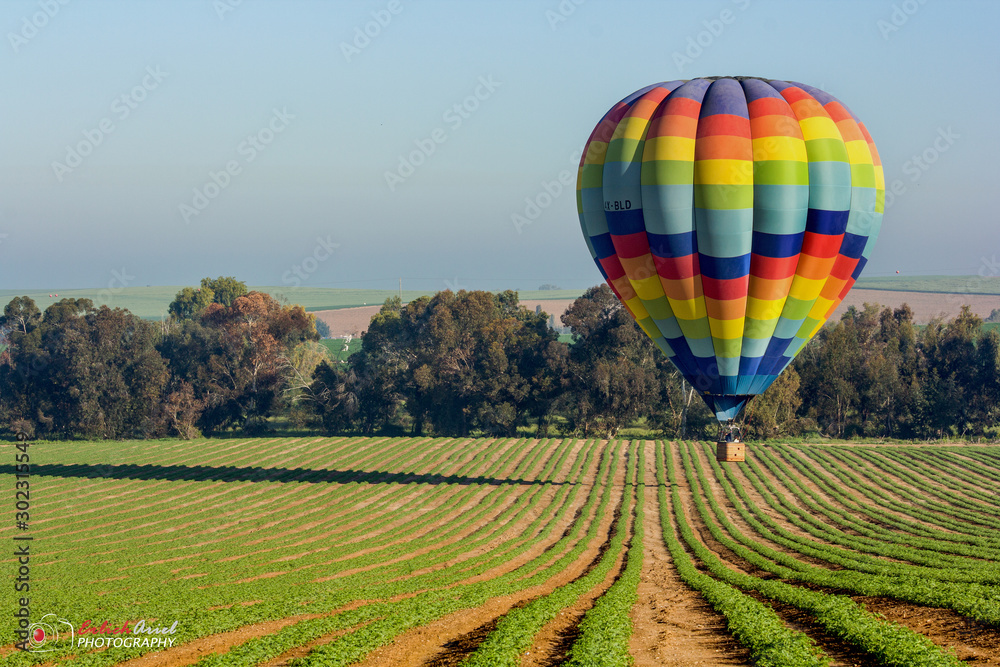 Fototapeta premium hot air balloon over the fields
