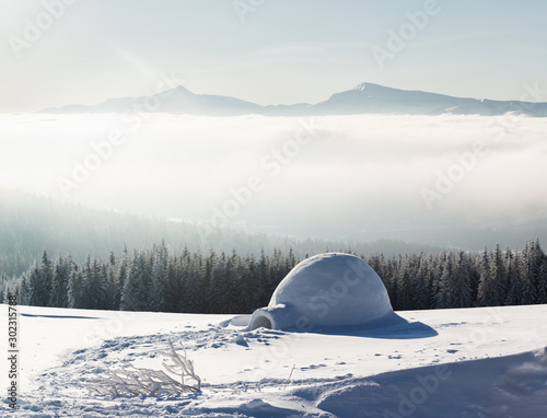 Real snow igloo house in the winter Carpathian mountains. Snow-covered firs and mountain peaks in fog on the background © Ivan Kmit