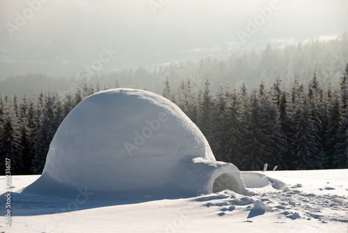 Real snow igloo house in the winter Carpathian mountains. Snow-covered firs on the background © Ivan Kmit