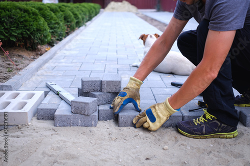 The master in yellow gloves lays paving stones in layers. Garden brick pathway paving by professional paver worker. Laying gray concrete paving slabs in house courtyard on sand foundation base. photo