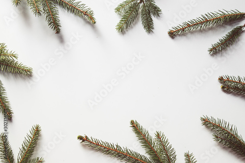 Branches from a Christmas tree on a white background. Place for text