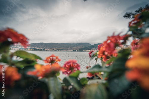 landscape with red and orange flowers Castoria Greece photo