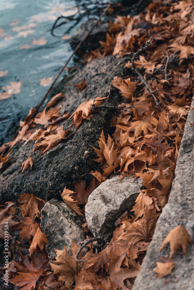 rocks in the water covered with leaves in castoria greece rocks in the water covered with leaves in castoria greece