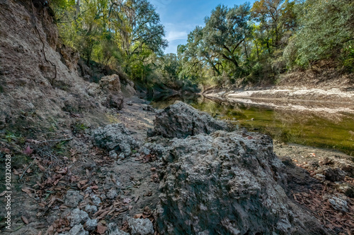Alapaha River, Hamilton Co, Florida