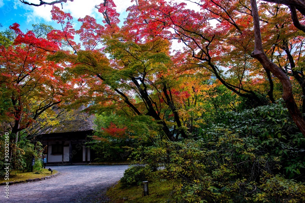 由布院温泉の紅葉