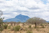 mount kasigau near tsavo kenya