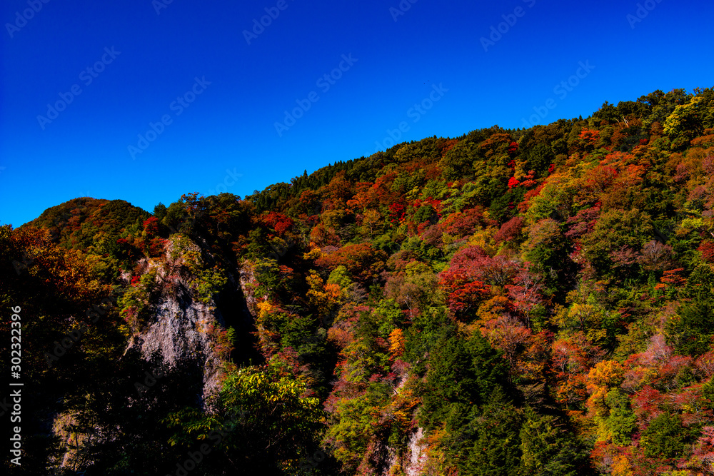 天ヶ谷渓谷の紅葉 天ヶ谷渓谷の紅葉