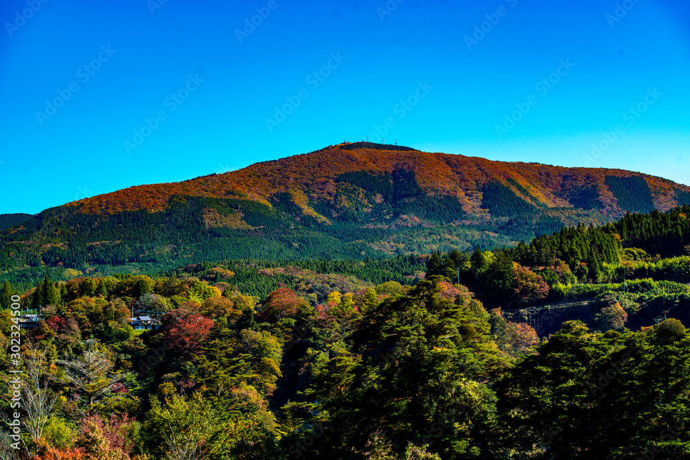 Fototapeta premium 九酔渓の紅葉