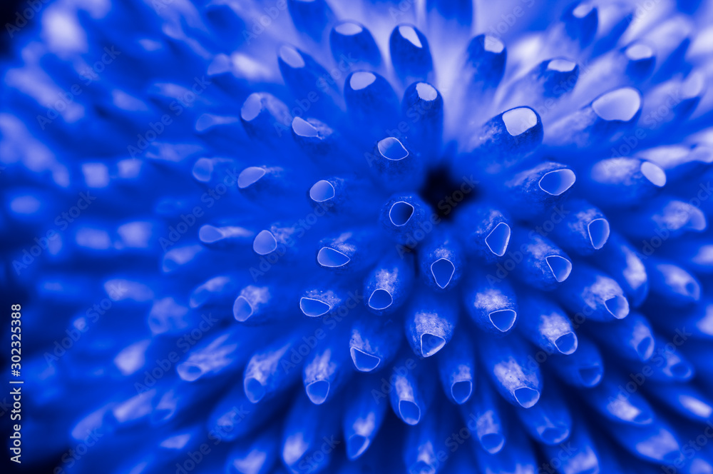 Blue Abstract Flower Background Blue Abstract Flower Background