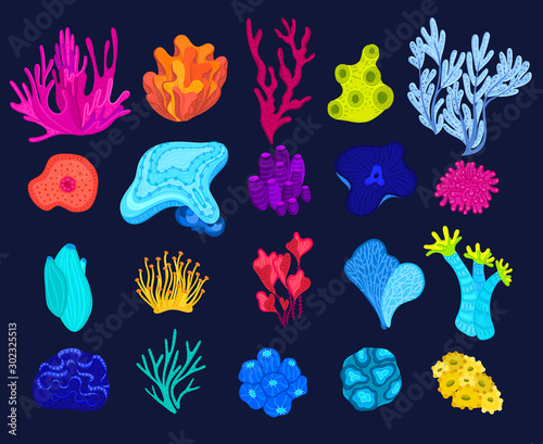 Vector set of hand drawn corals. Colorful sea or ocean life. Design elements for poster, cover, package, postcard, brochure, flyer, banner for water park, aquarium or marine exhibition. Sticker, label
