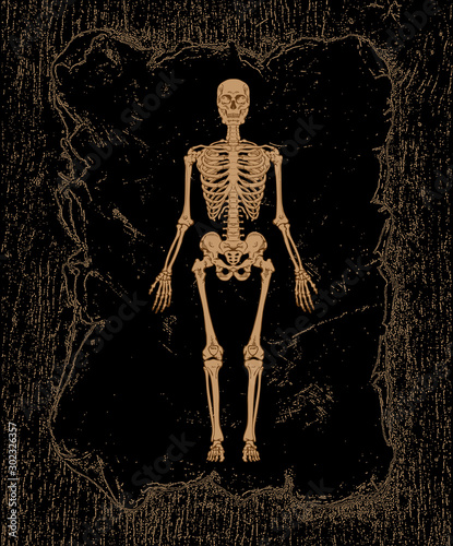 vector image of a skeleton on a dark background the illusion of a mirror in the style of art graphics