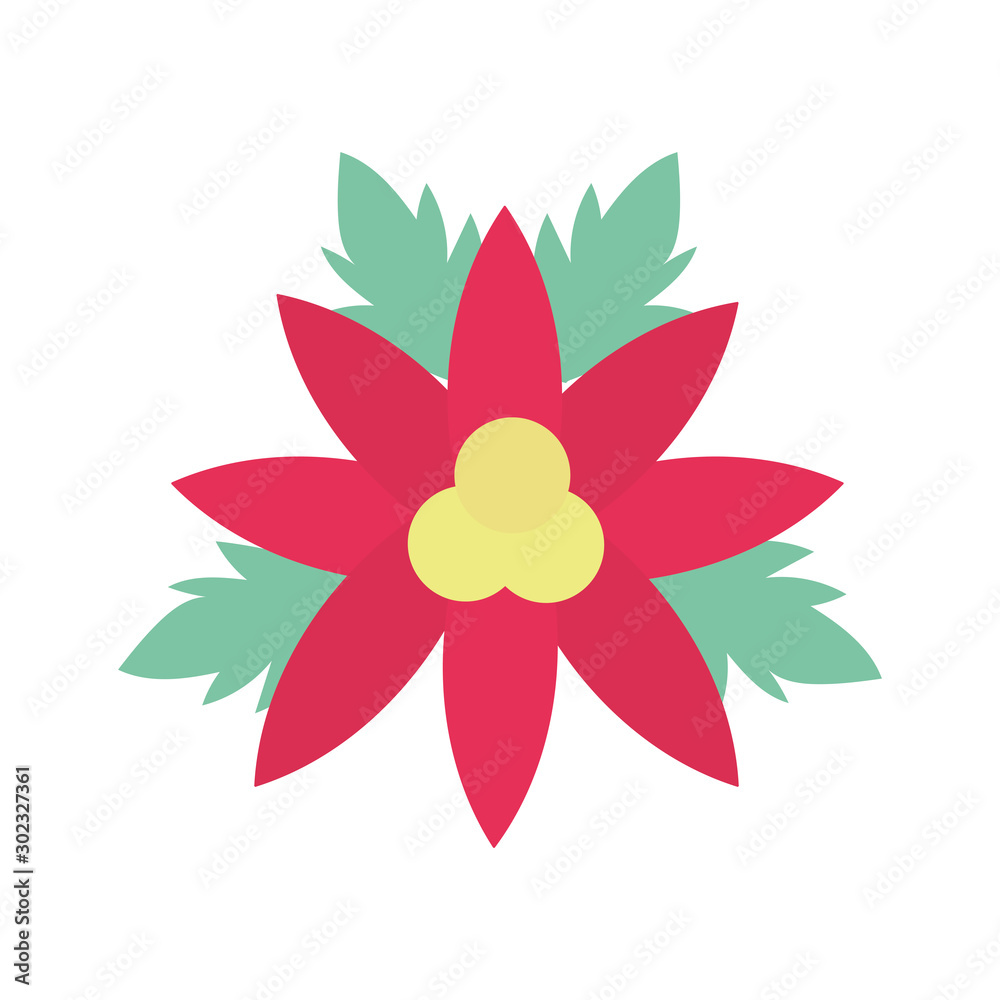 merry christmas celebration flower poinsettia decoration merry christmas celebration flower poinsettia decoration