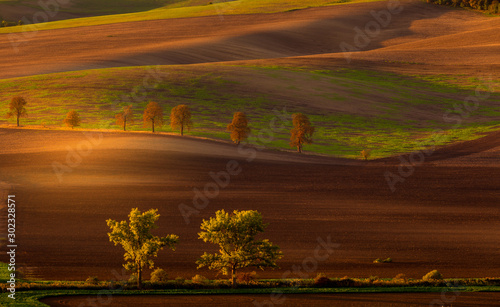 Autumn sunrise in the fields