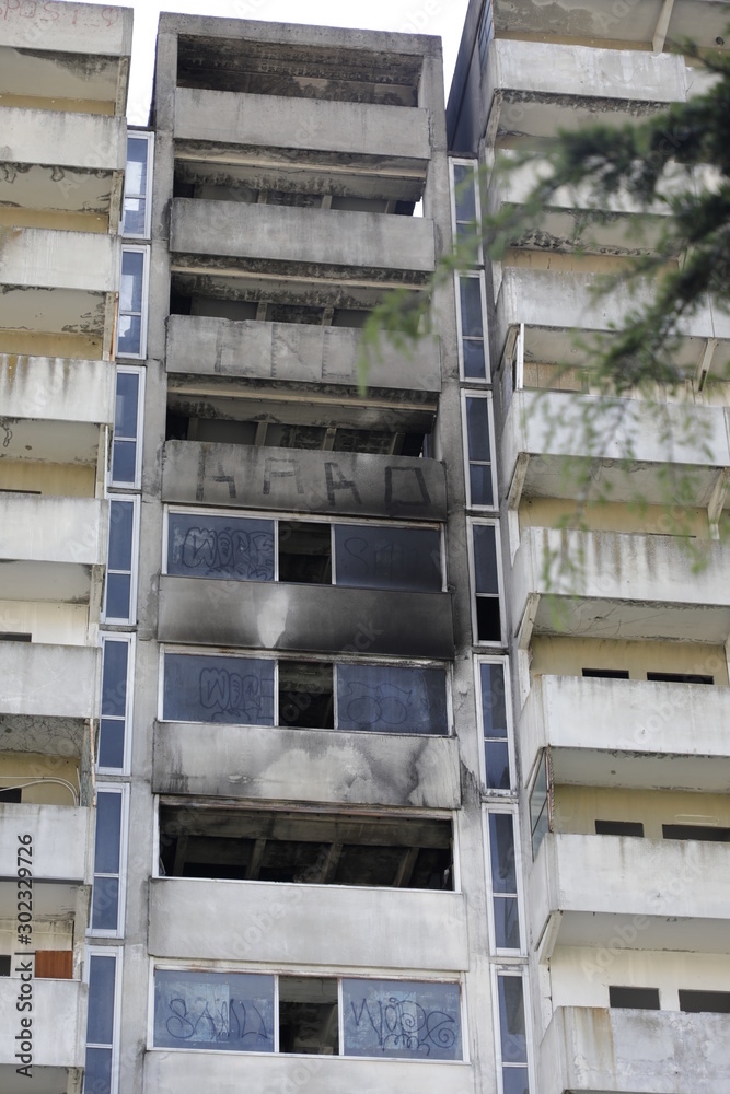 Fototapeta premium scampia