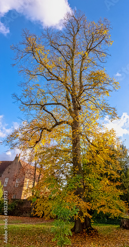 Autumn in British park - Osterley, Isleworth, London, United Kingdom