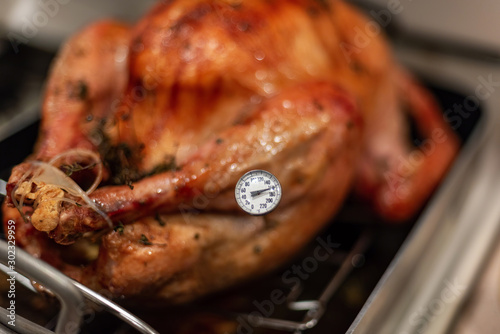 Checking the temperature with a meat thermometer to make sure the turkey done photo