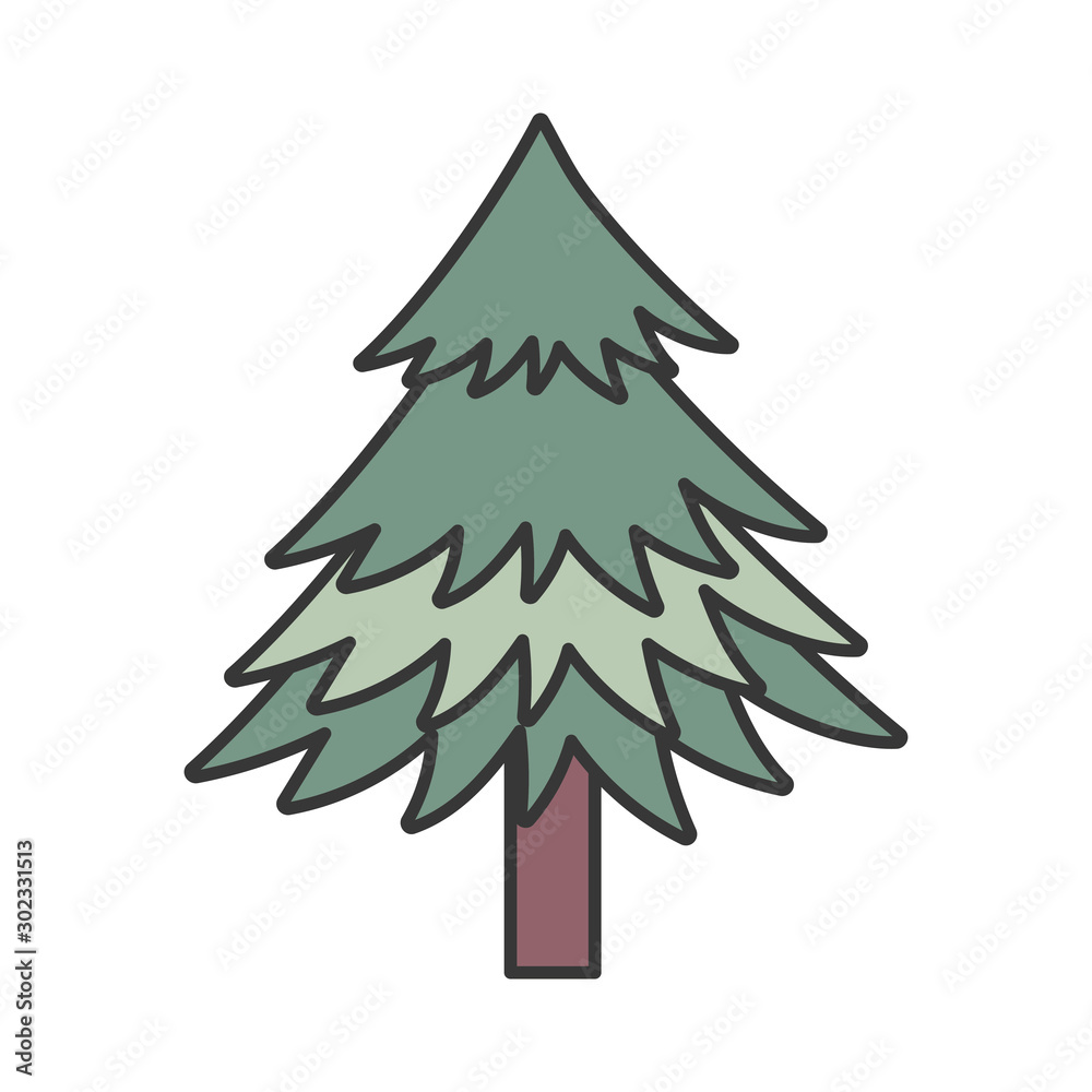 Obraz premium pine tree foliage botanical on white background