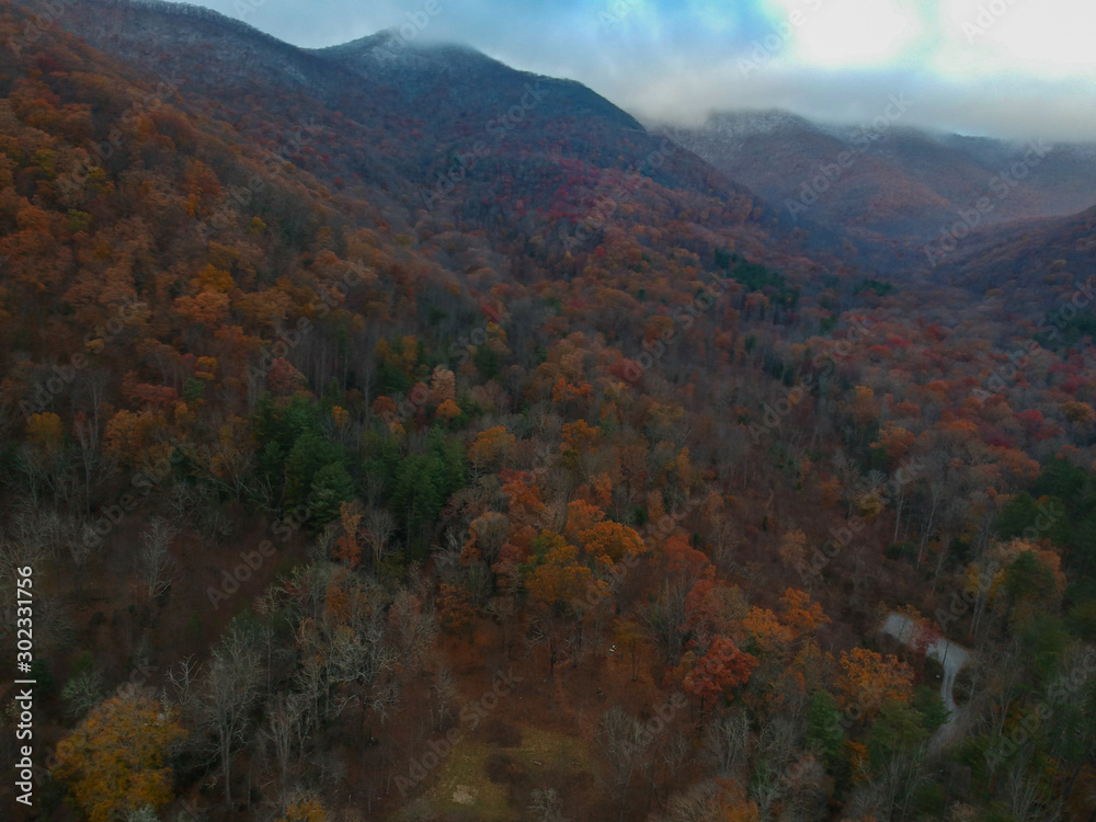 Aerial drone view of Asheville , North Carolina during Autumn / Fall transition into winter. Bird's eye view of foliage in the south east.