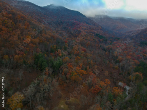Aerial drone view of Asheville   North Carolina during Autumn   Fall transition into winter. Bird s eye view of foliage in the south east.