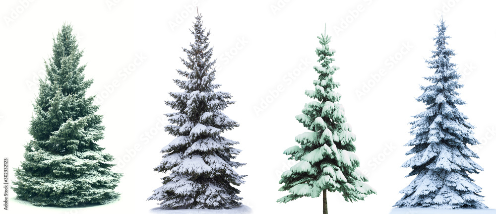Christmas Tree collage