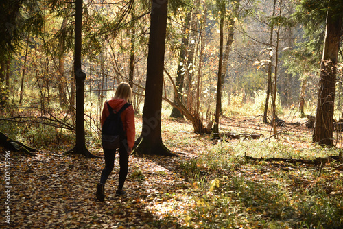 hike in the forest