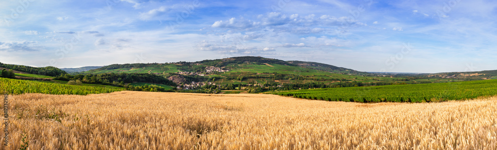 panorama champ de blé